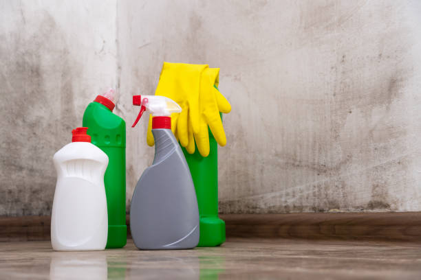 Best Mold Odor Removal Services  in Bath, MI